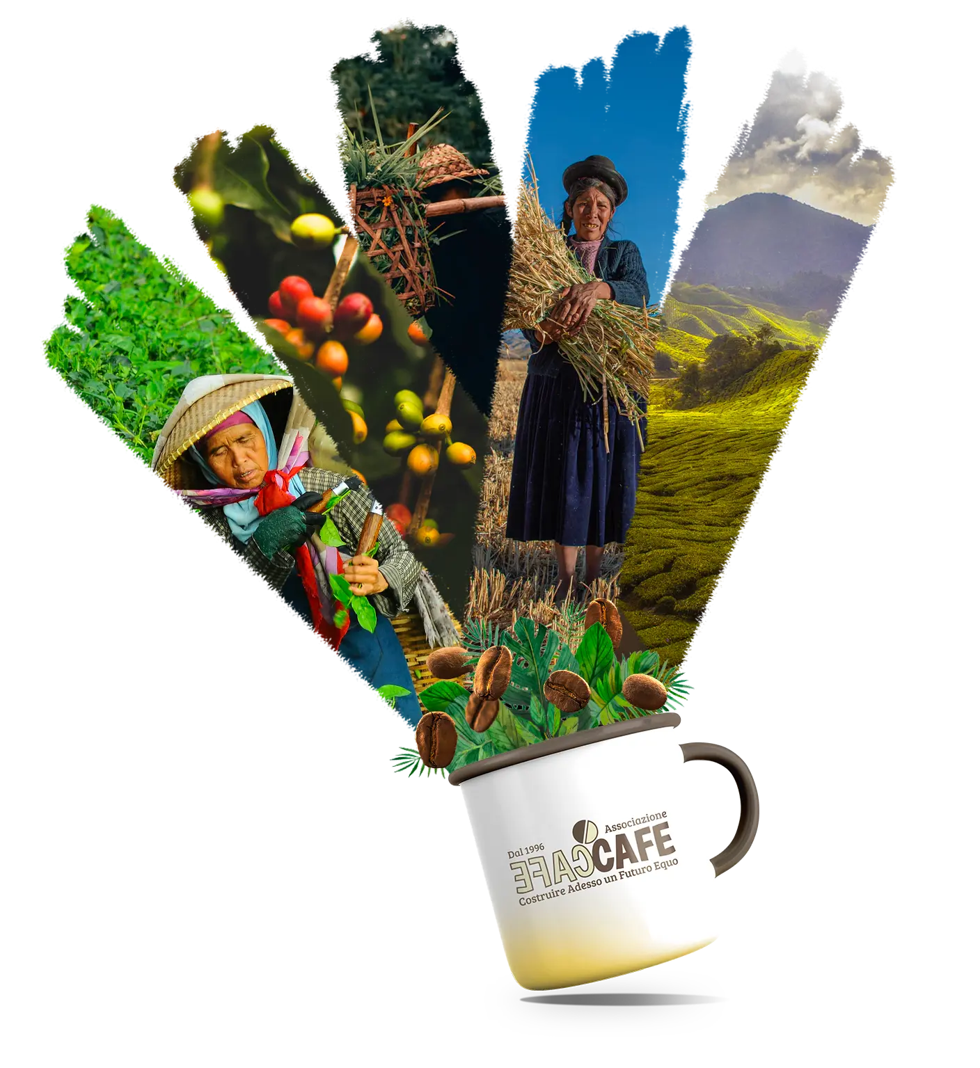 Una tazza da cui escono delle foto e dei chicchi di caffè